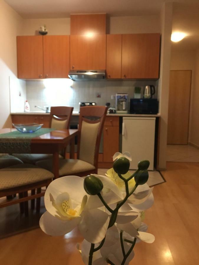 Hegykő Orchidea Apartman מראה חיצוני תמונה