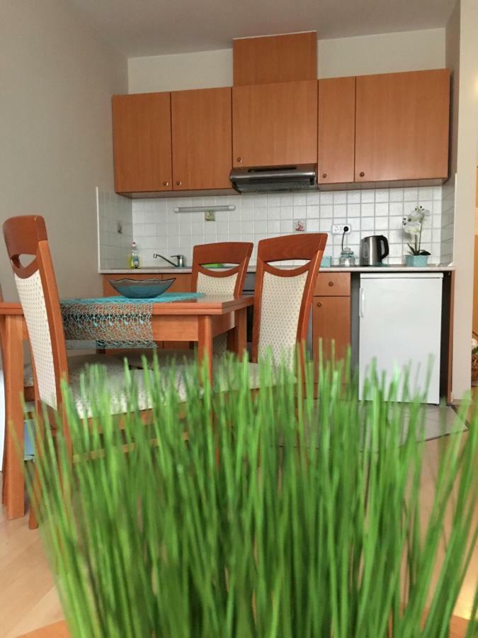 Hegykő Orchidea Apartman מראה חיצוני תמונה